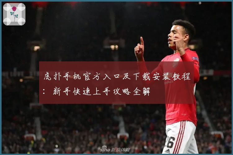 虎扑手机官方入口及下载安装教程：新手快速上手攻略全解