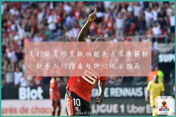 虎扑体育网页版功能亮点深度解析，新手入门指南与热门玩法推荐